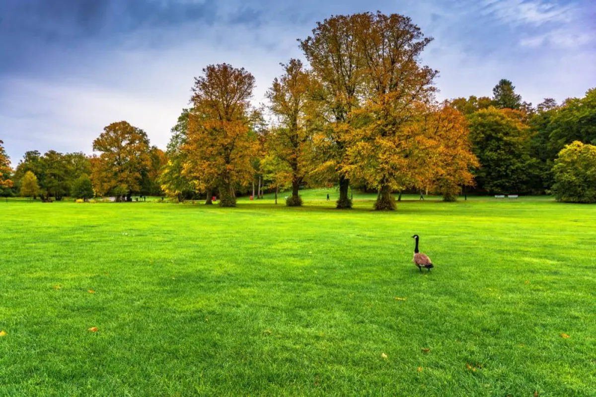 سلوتسكوجين واحة خضراء تعدّ من الأماكن المفضلة للذهاب في جوتنبرج 