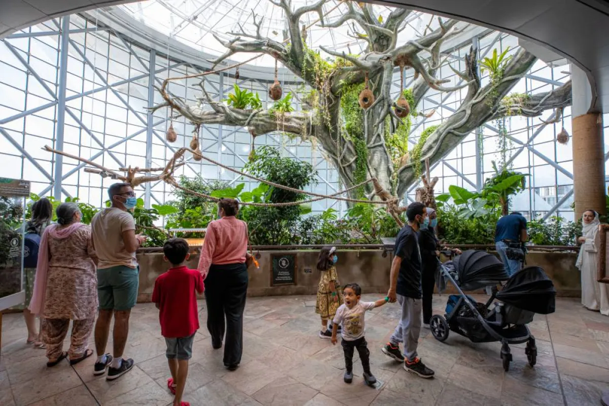 تضم المنشأة 4 طوابق مختلفة. الصورة من "وام"