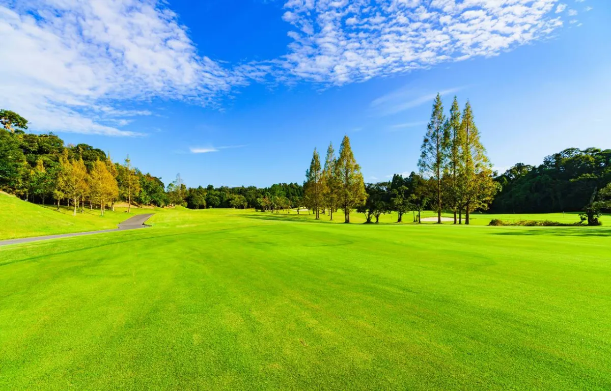 صورة للارض الخضراء