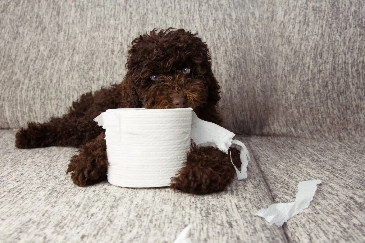 صورة تعبيرية عن النظافة