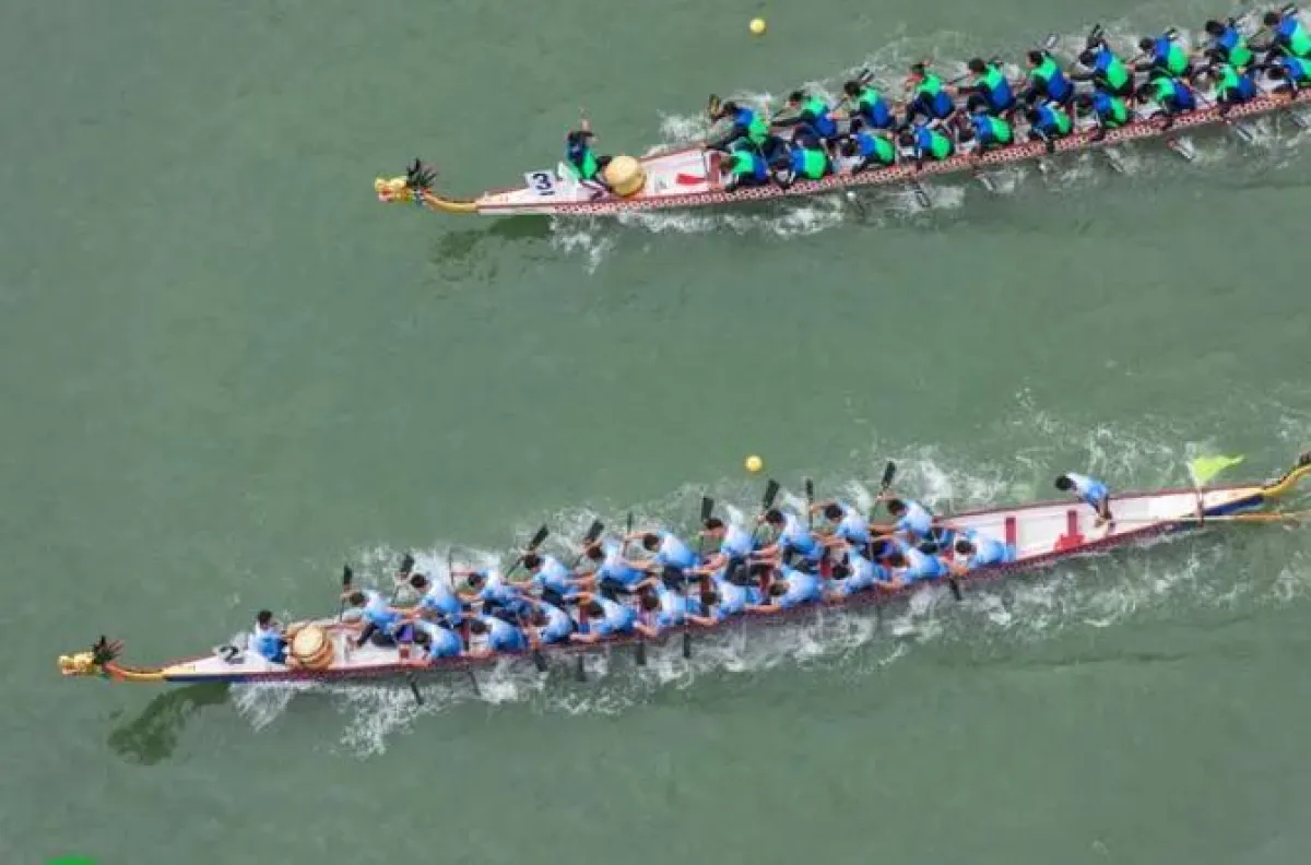 مهرجان قوارب التنين