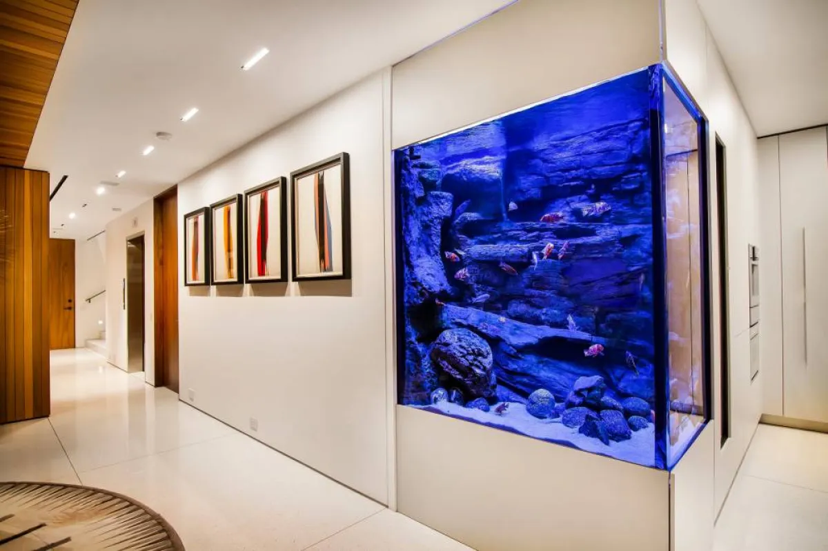 الإضاءة تُجمّل حوض السمك 