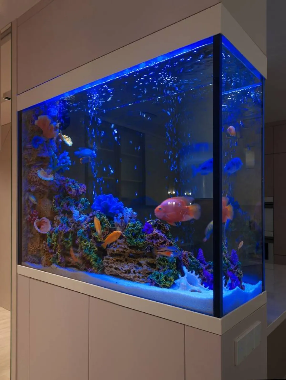 تصميم حوض السمك