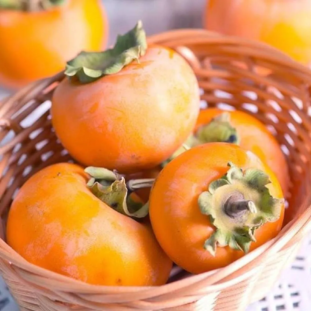 طبق يحوي الكاكا