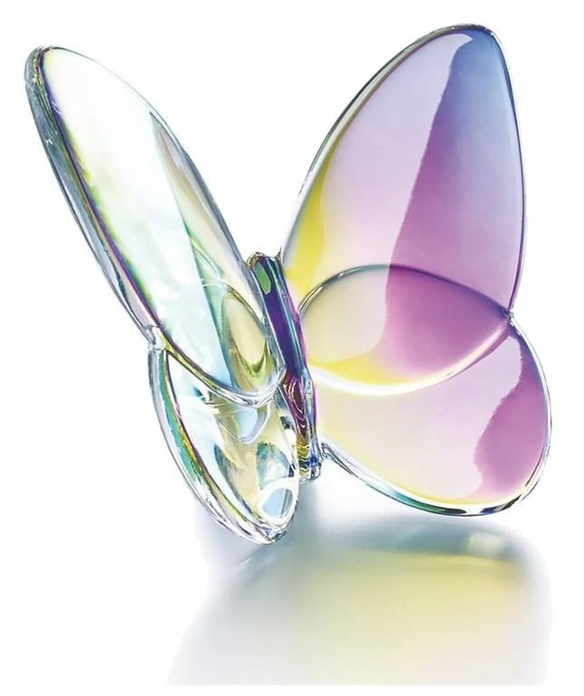 فراشة للديكور