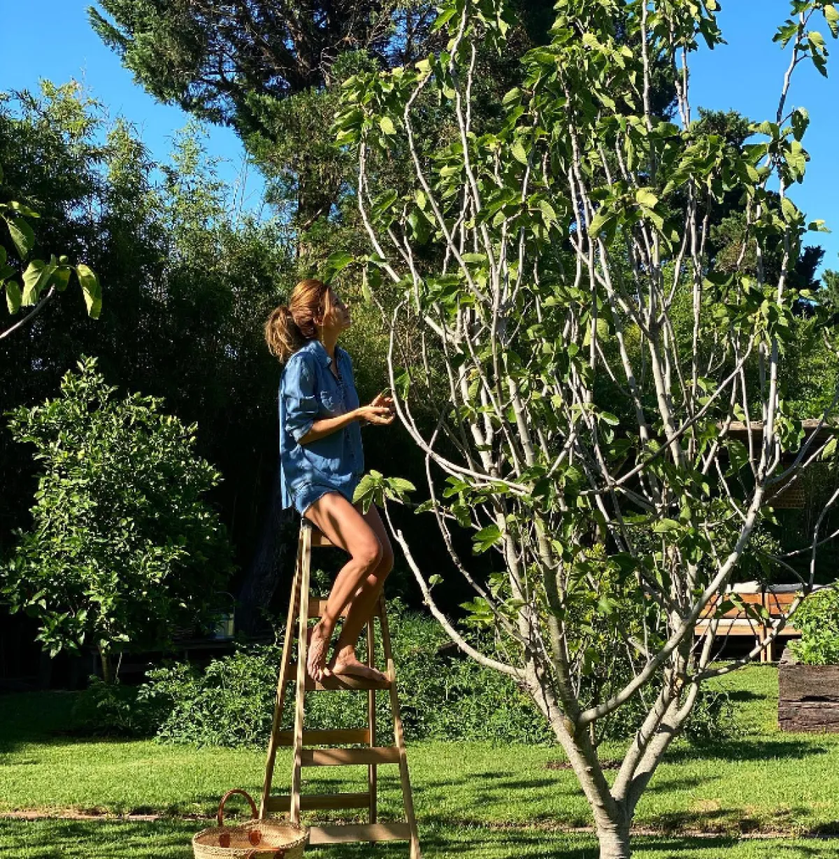 جوليانا عواضة ترتدي الشورت من الدنيم