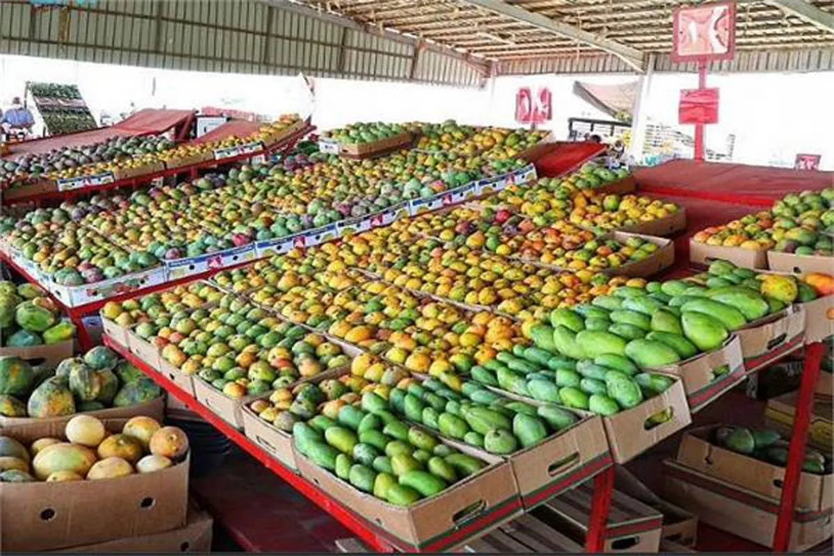 انطلاق أول مهرجان للمانجو بالإسماعيلية بحضور عدد من السفراء 