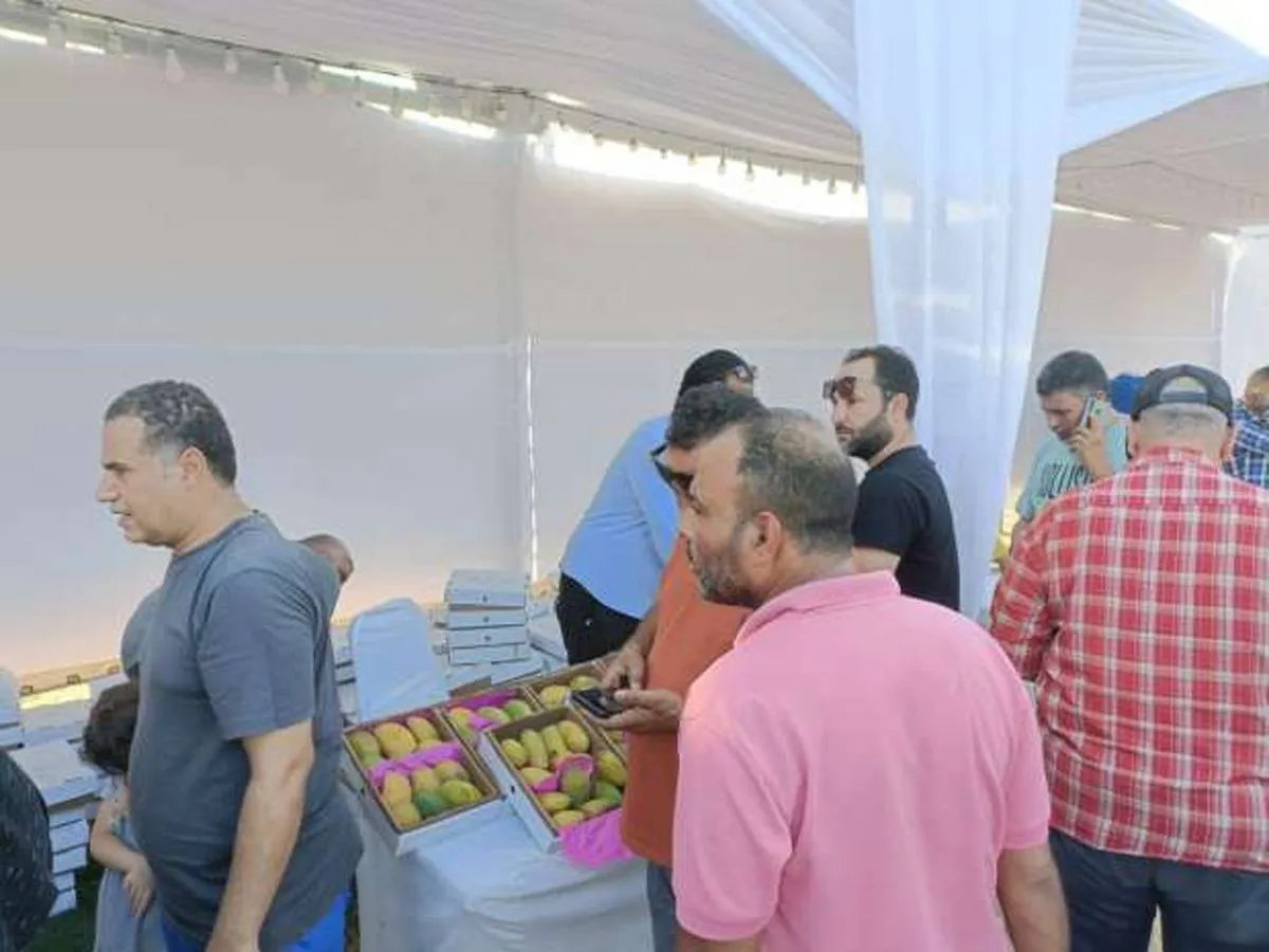 انطلاق أول مهرجان للمانجو بالإسماعيلية بحضور عدد من السفراء 