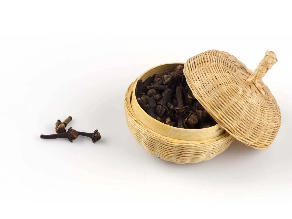 فوائد القرنفل للأسنان