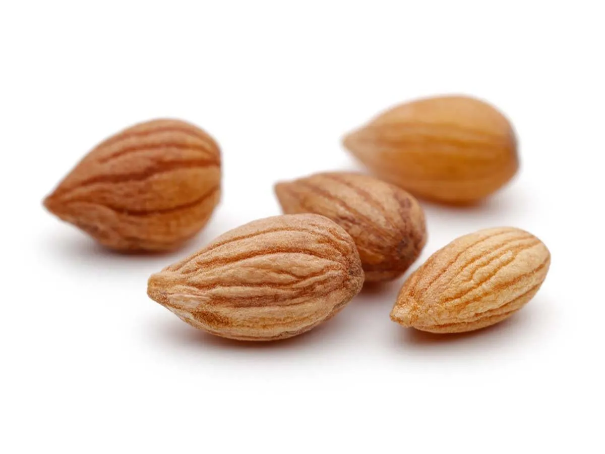 فوائد المحلب للنساء