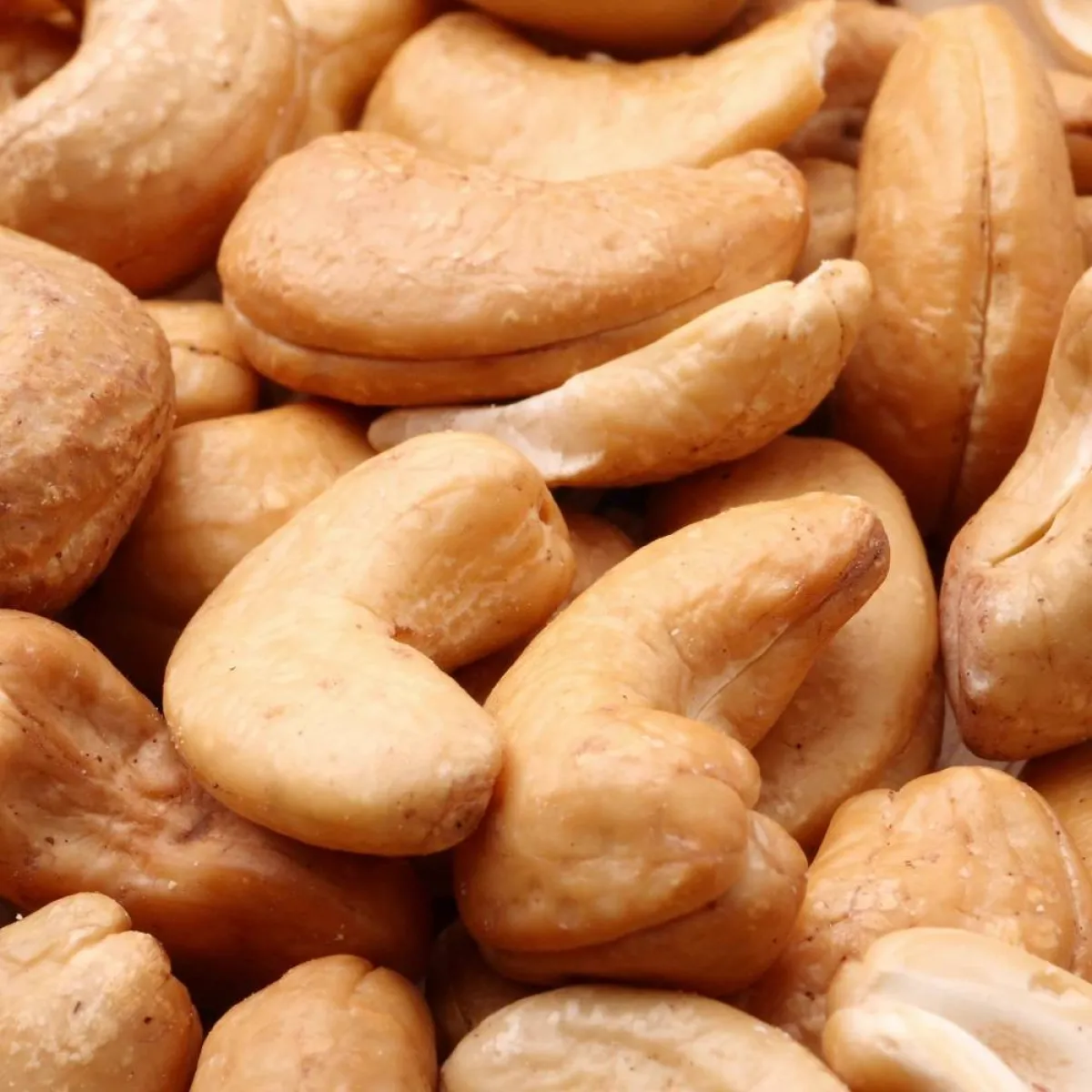 صورة لحبات الكاجو