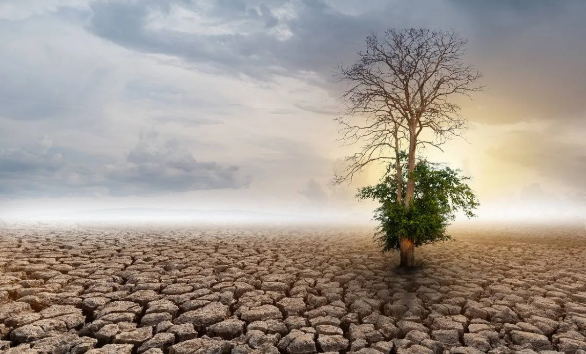 صورة للأرض الجرداء