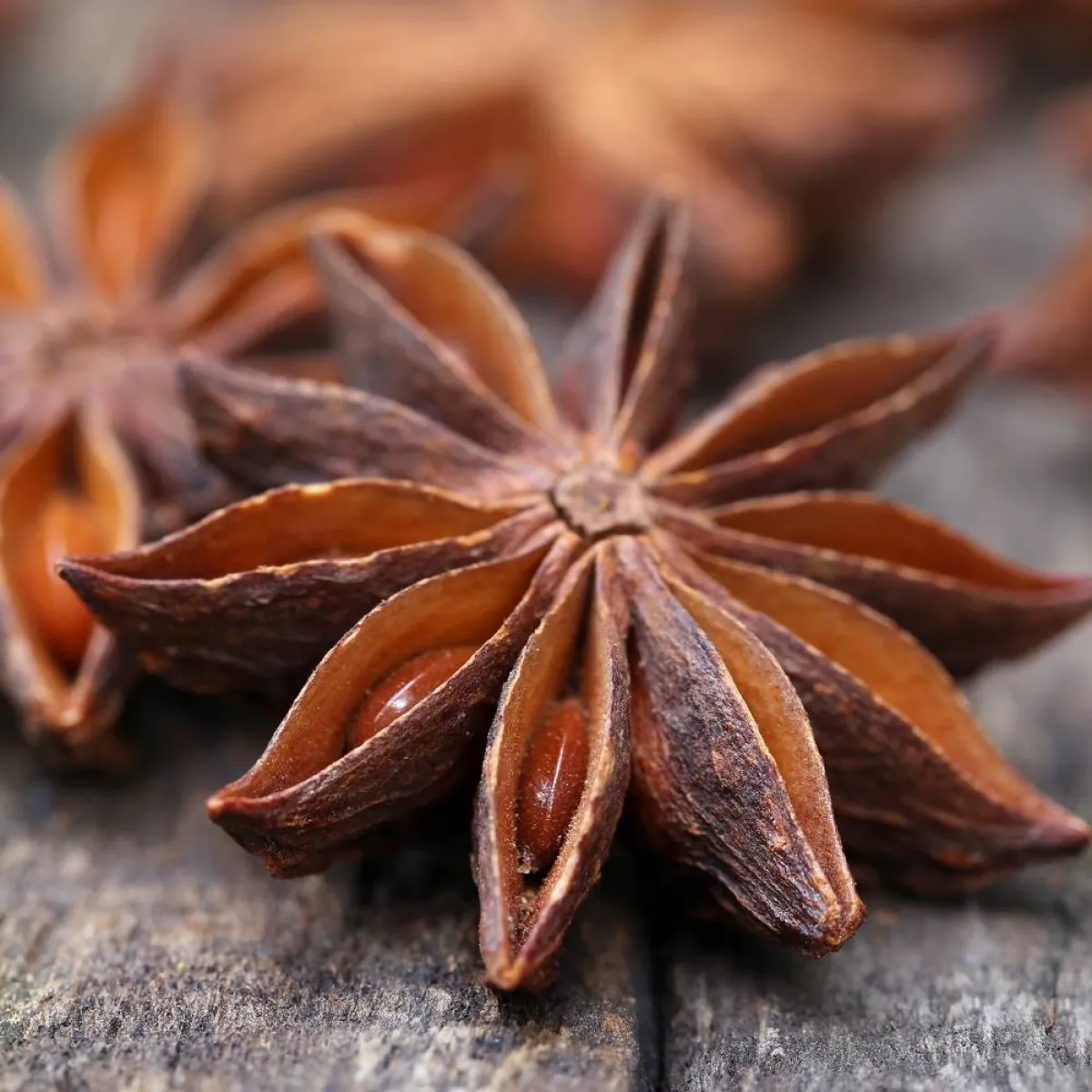 صورة لعشبة اليانسون