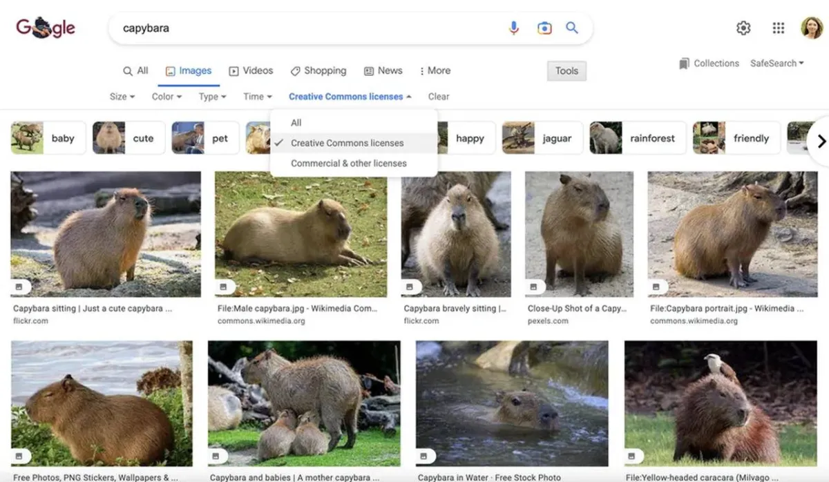 طريقة البحث عن الصور التي يمكنك (قانونيًا) استخدامها مجانًا