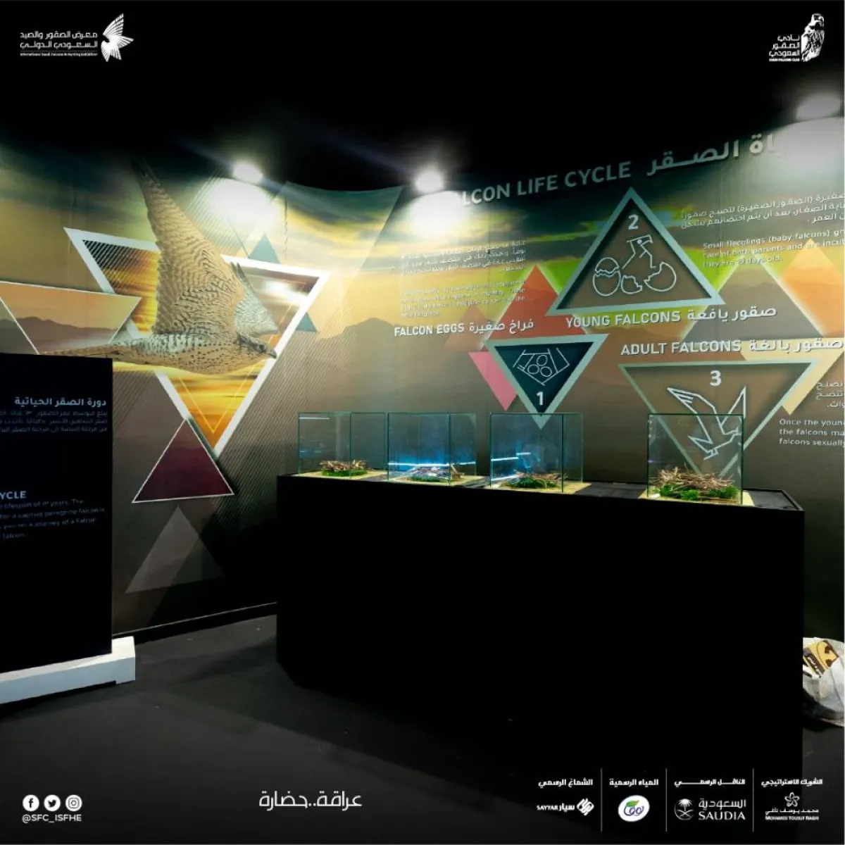 من مقتنيات المتحف