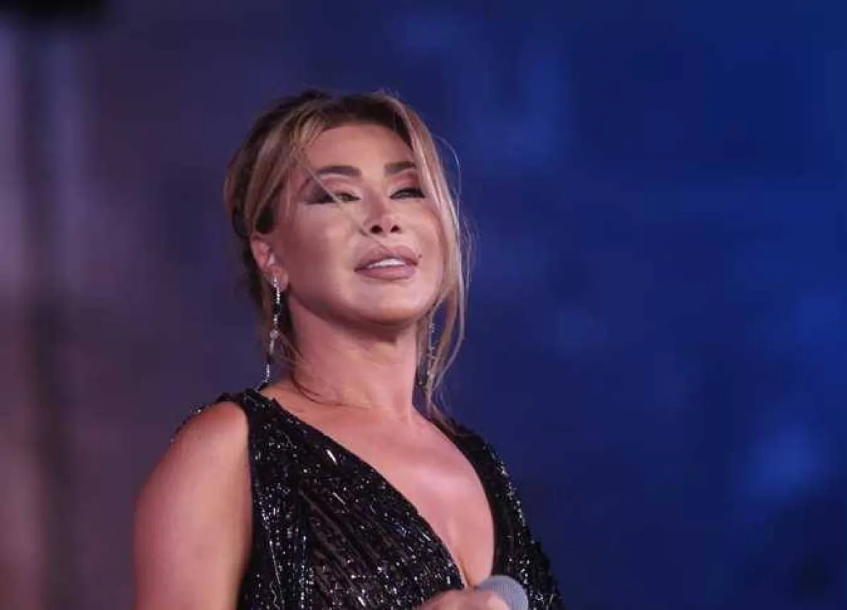 نوال الزغبي في حفل القلعة - الصورة من حسابها على تويتر