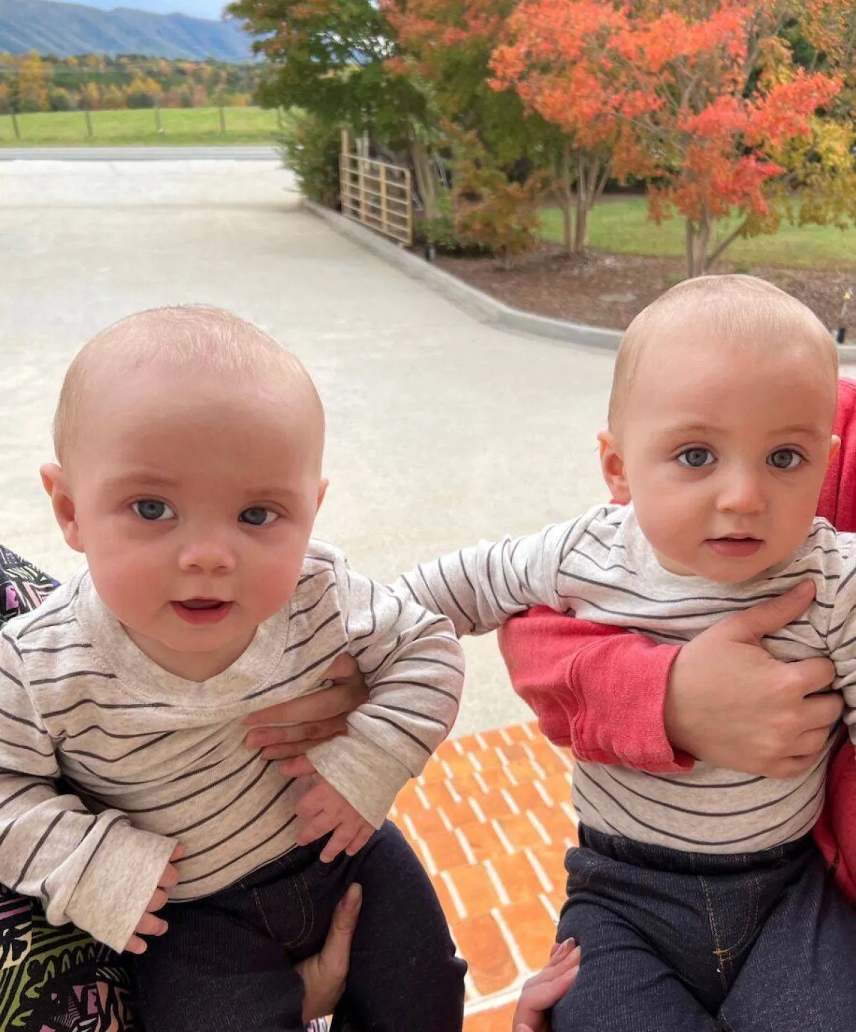 صورة الطفلان جيت وجاكس ساليز