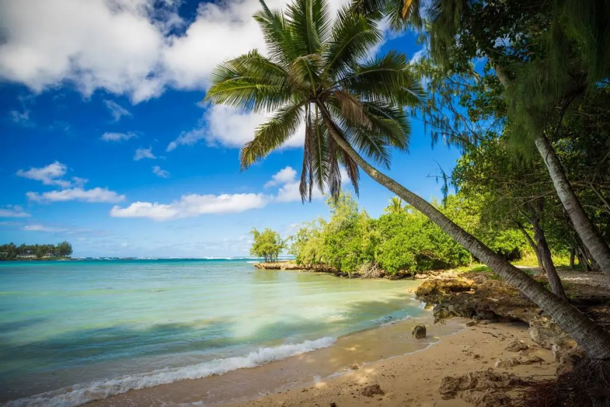 جزر «هاواي» الأبرز، هي: «ذا بيغ آيلاند» و«ماوي» و«أواهو» و«كاواي»