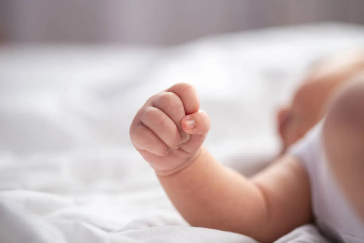 صورة لقبضة اليد