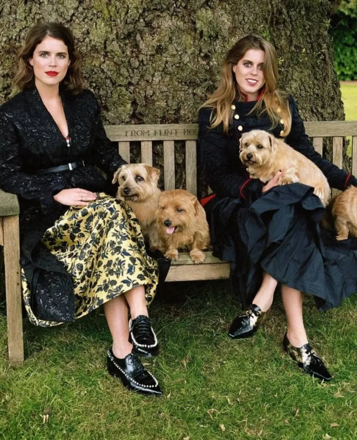 الأميرة بياتريس والأميرة يوجيني مع كلابهما- الصورة من حساب Europe Royals على إنستغرام