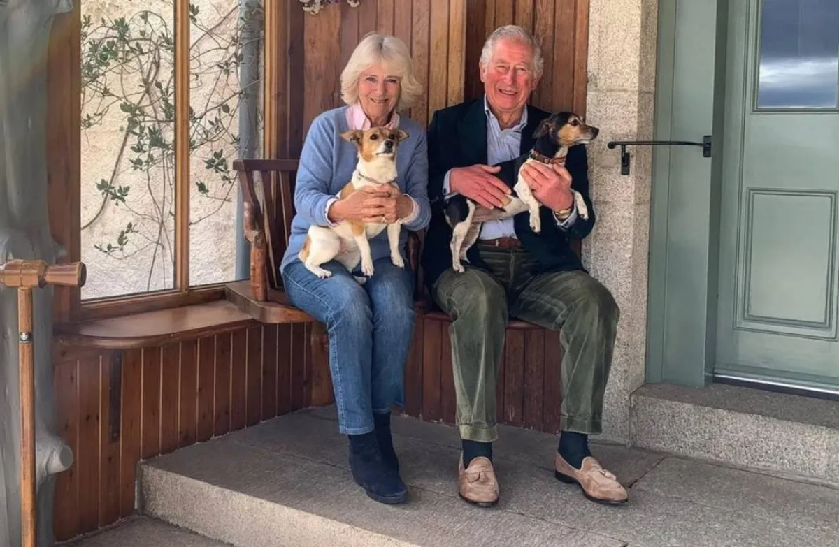 الأمير تشارلز وكاميلا مع كلبيهما- الصورة من حساب Clarence House
