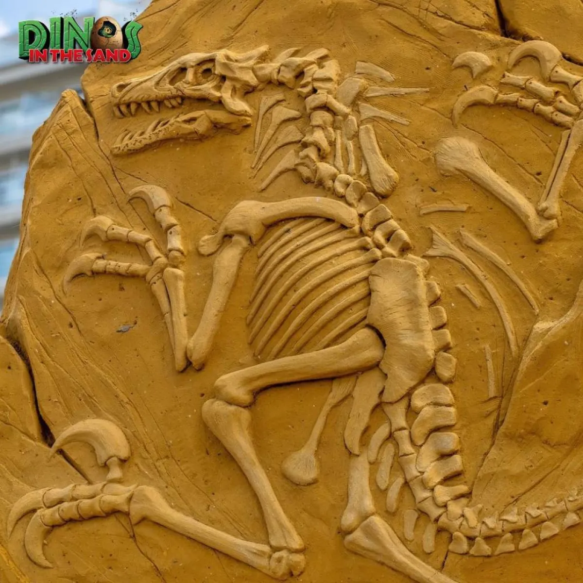 مهرجان النحت على الرمال في بلجيكا