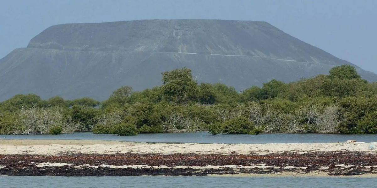 تنوع الغطاء النباتي في المملكة. الصورة من "واس"