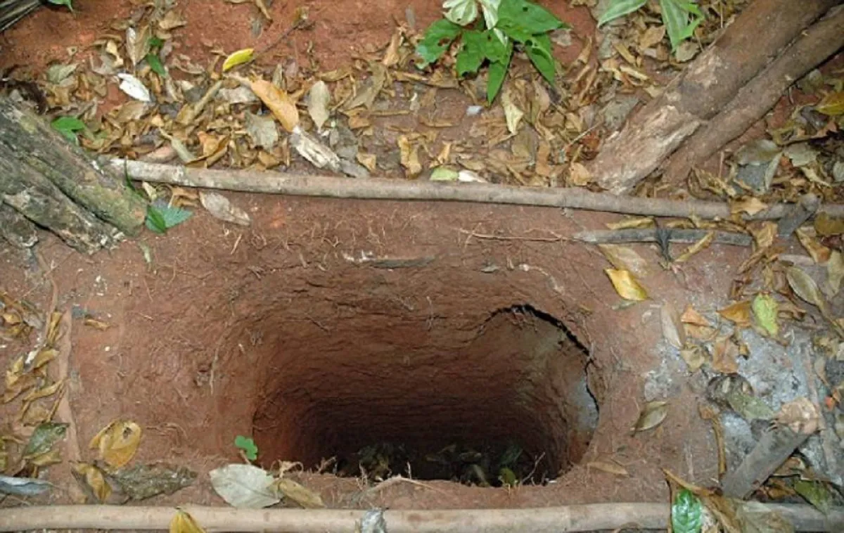 صورة فخ لاصطياد الحيوانات في الغابات