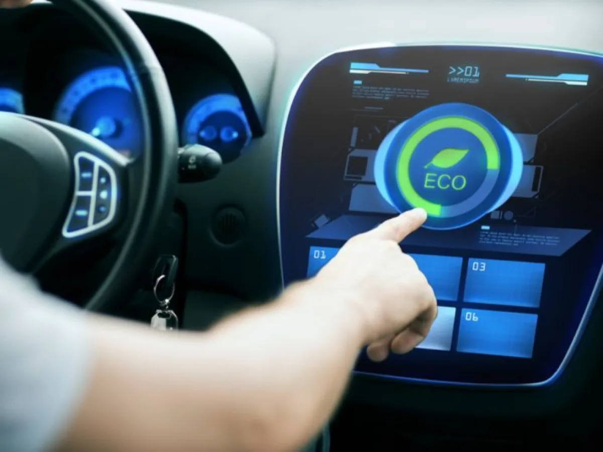 وظيفة نظام الايكو