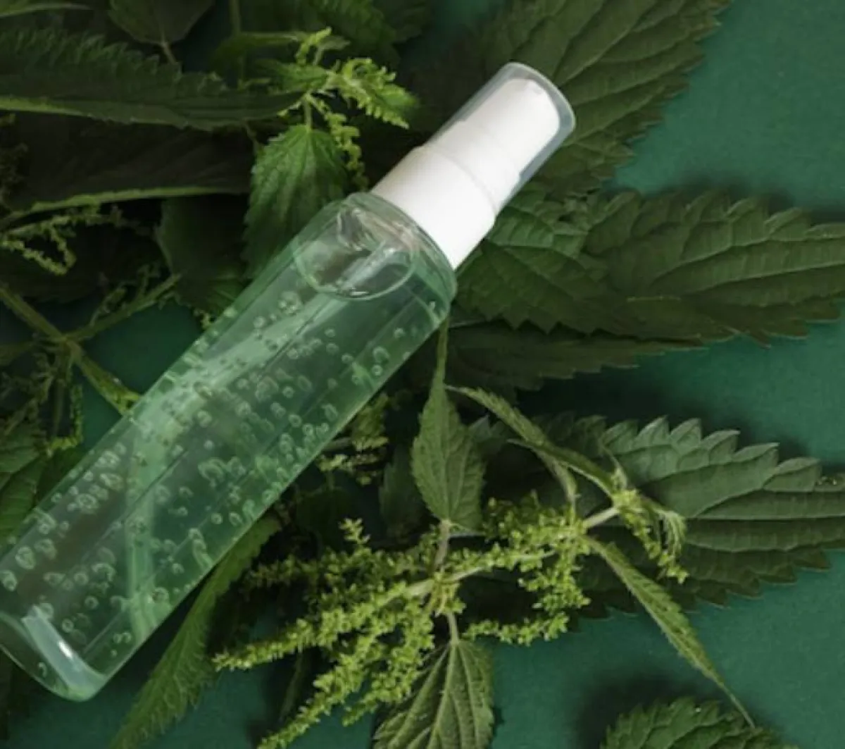 غسول البقدونس