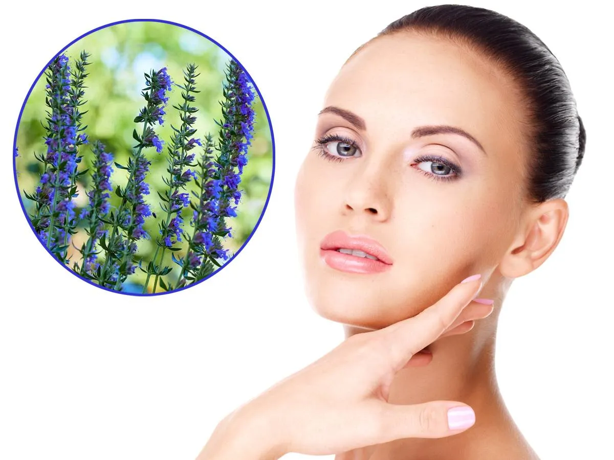 فوائد الزوفا للبشرة