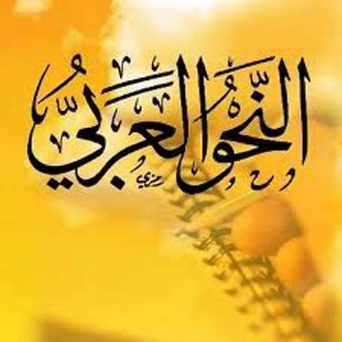 ما هو علم النحو