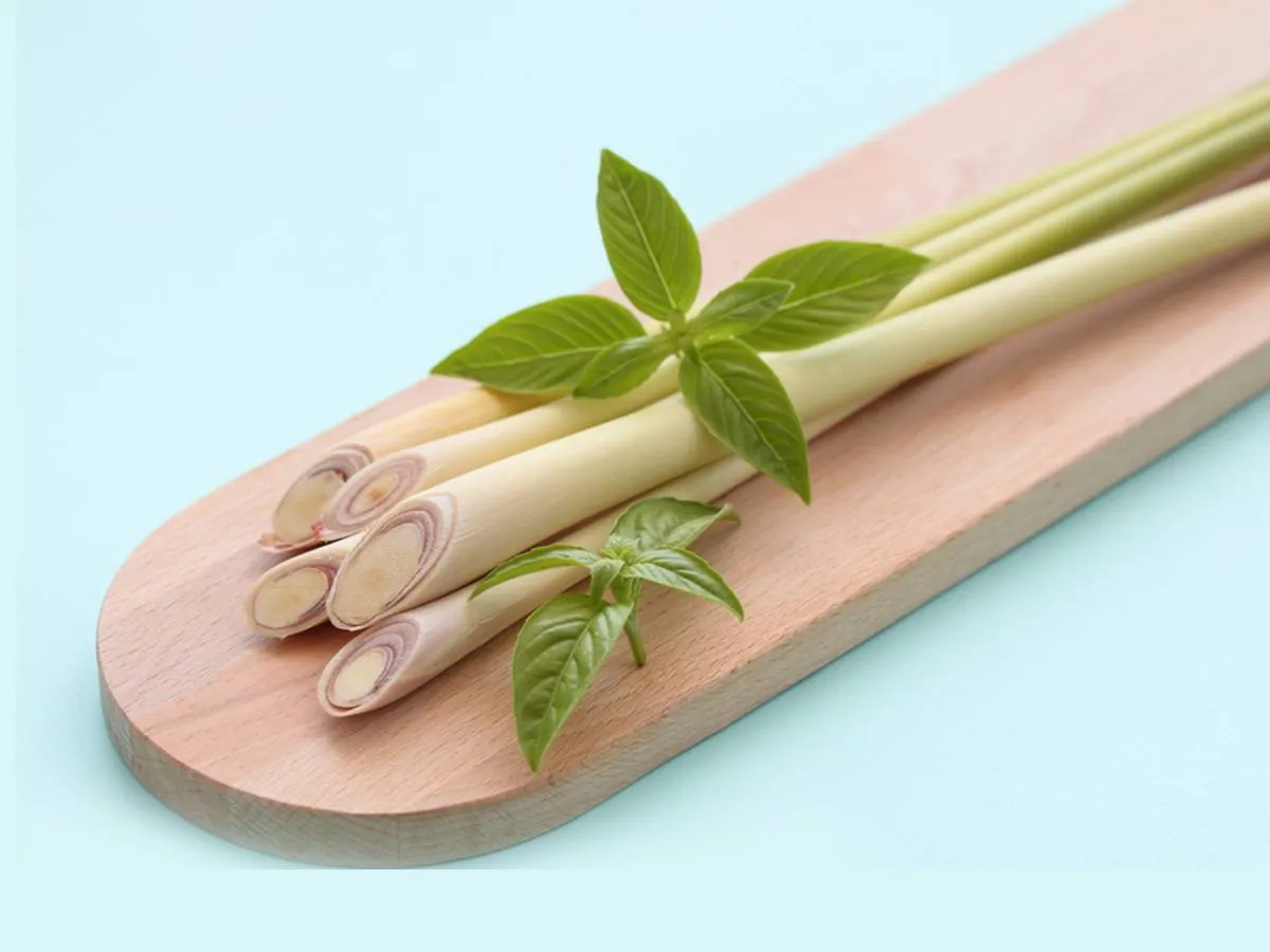 فوائد عشبة الأذخر