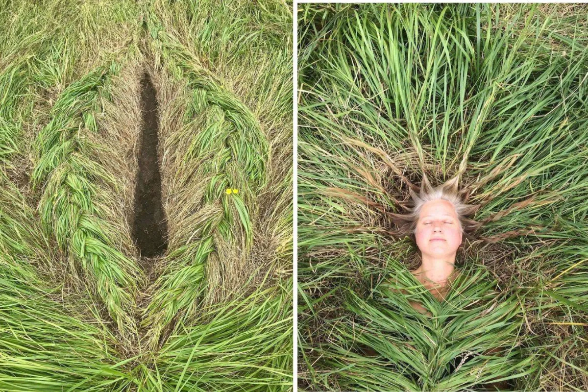 لوحة من الطبيعة