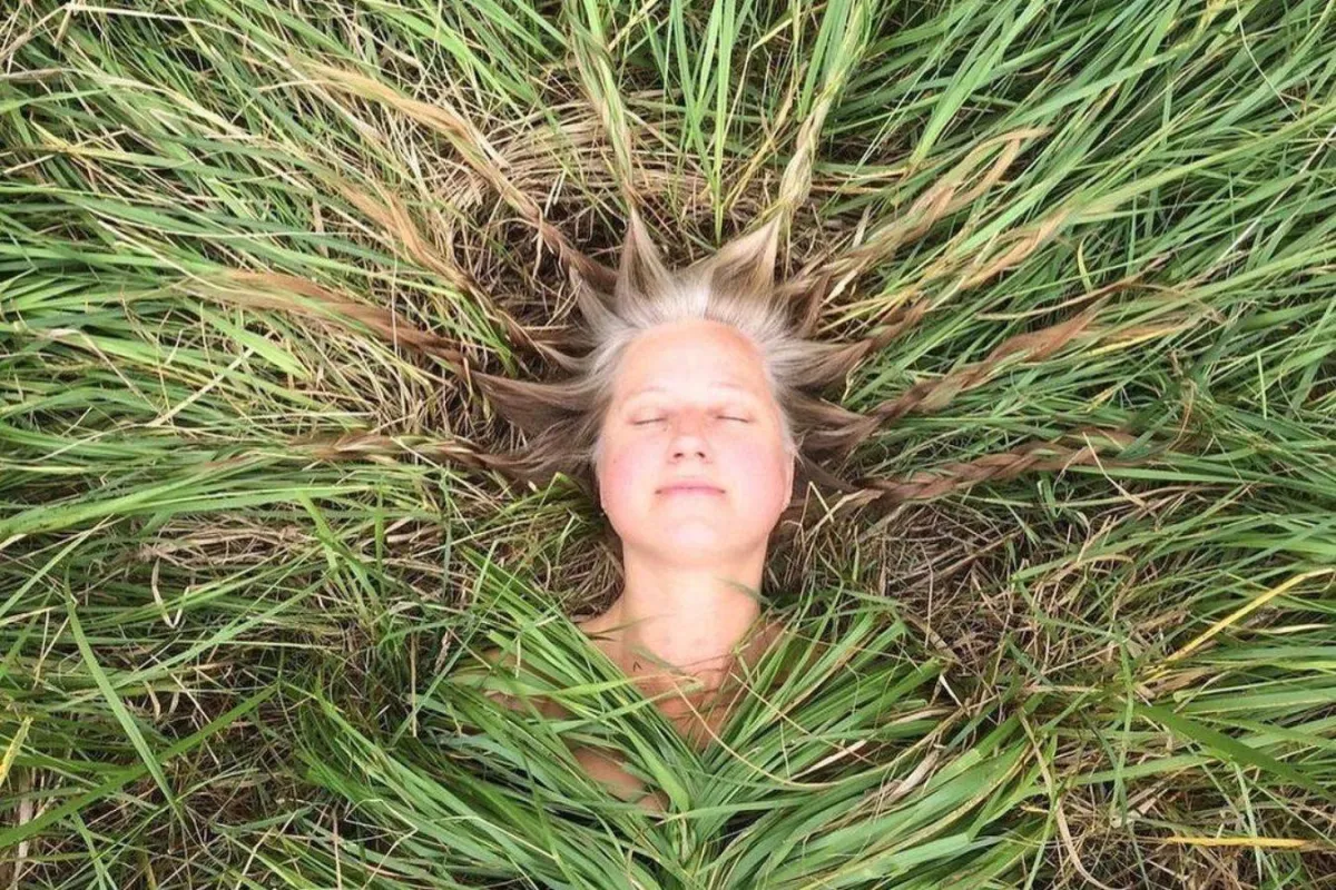 لوحة من الطبيعة