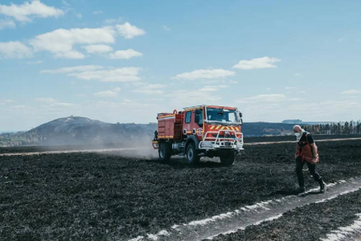 صورة تأثر الزراعة بالحرارة