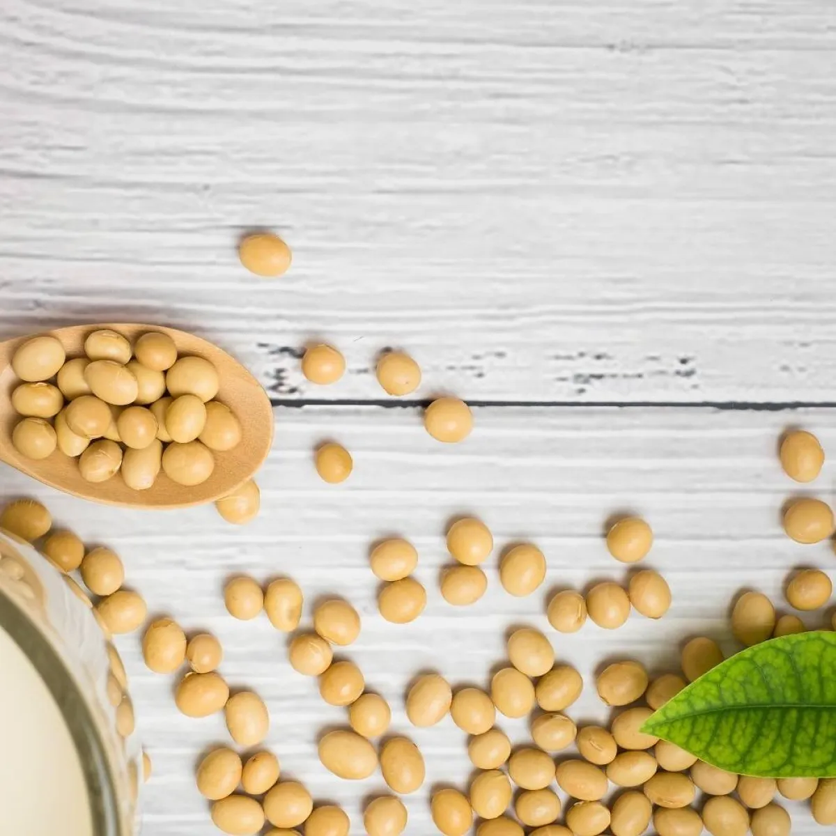 صورة لنبات العنزروت