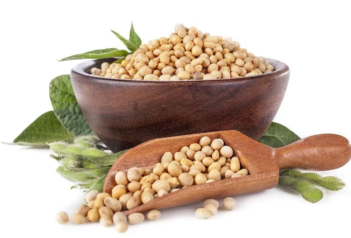 لماذا يجب التركيز على البروتينات النباتية بعد سن الخمسين؟ 