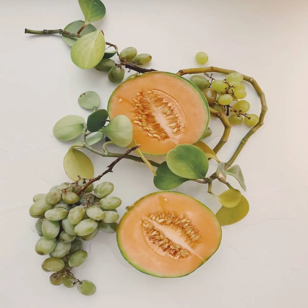 فاكهة الكنتالوب  رائعة للصحة