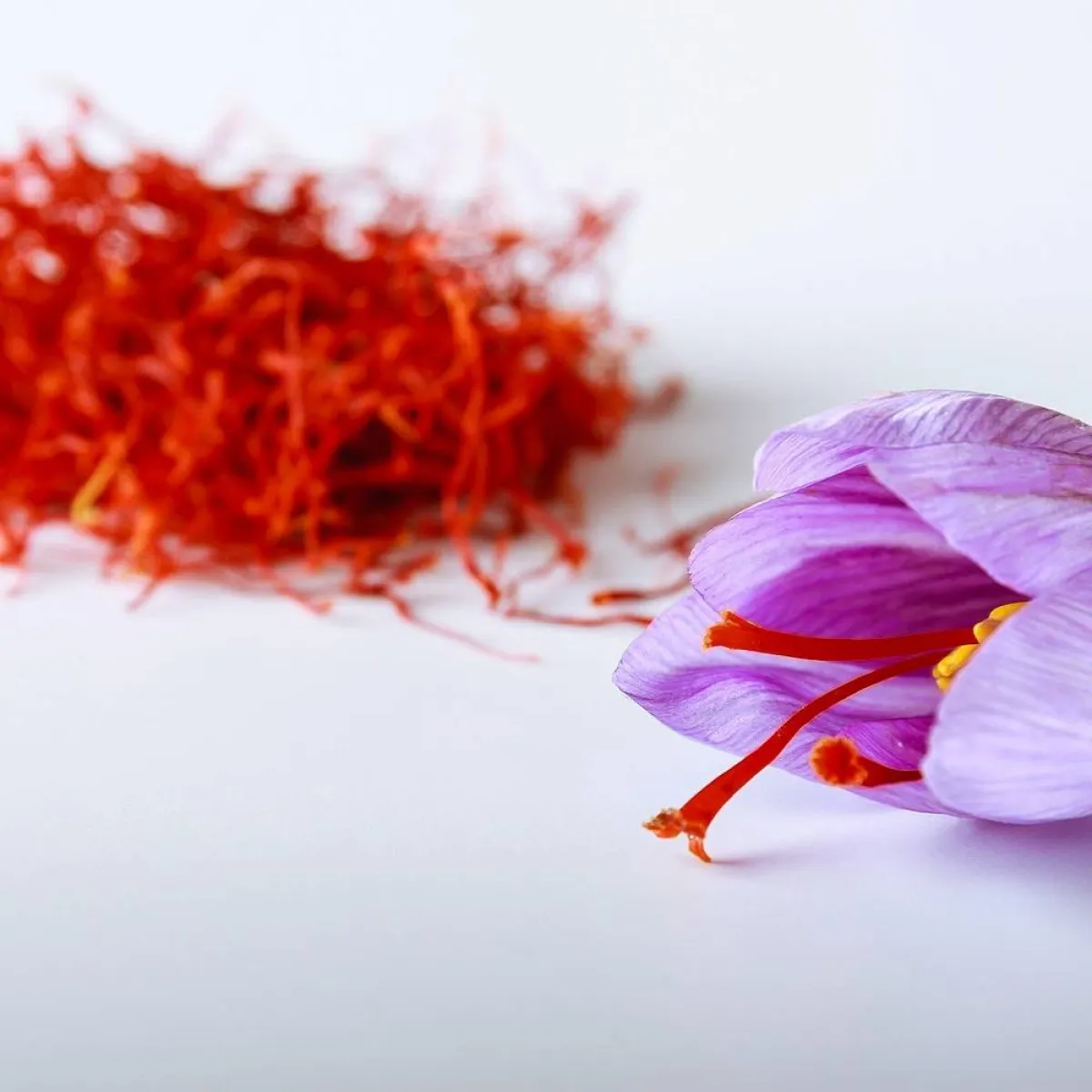 صورة لنبات الزعفران