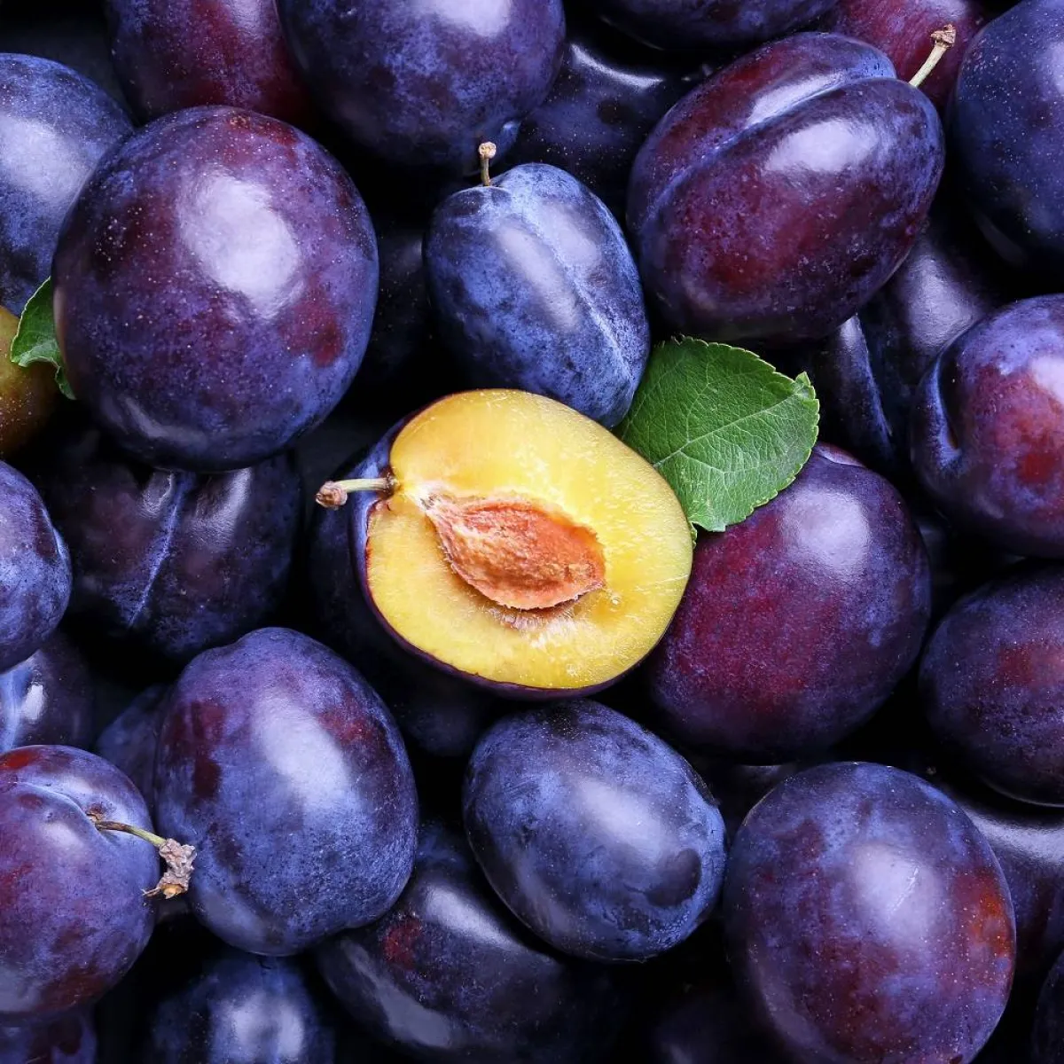 صورة لفاكهة القراصيا