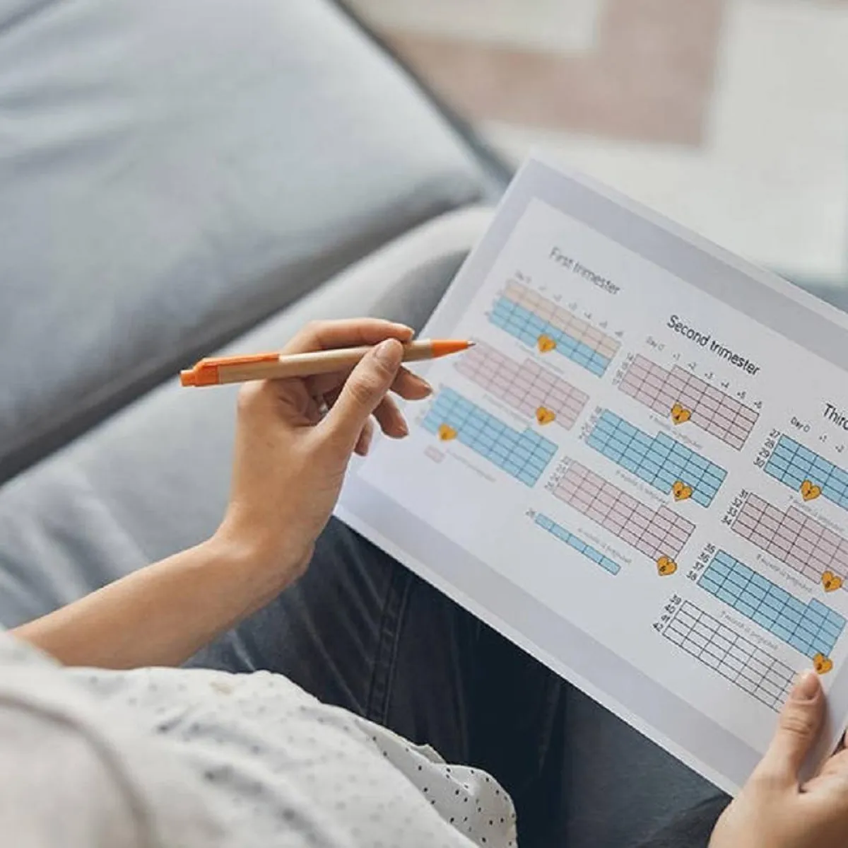 صورة تشرح أيام التبويض