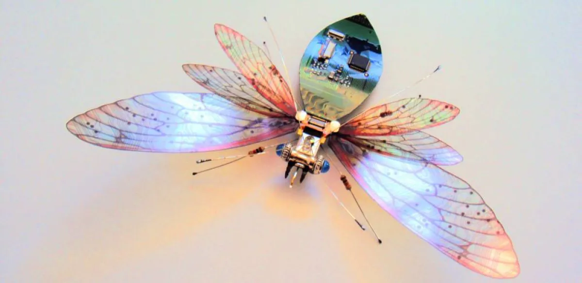 حشرات مجنحة معاد تدويرها