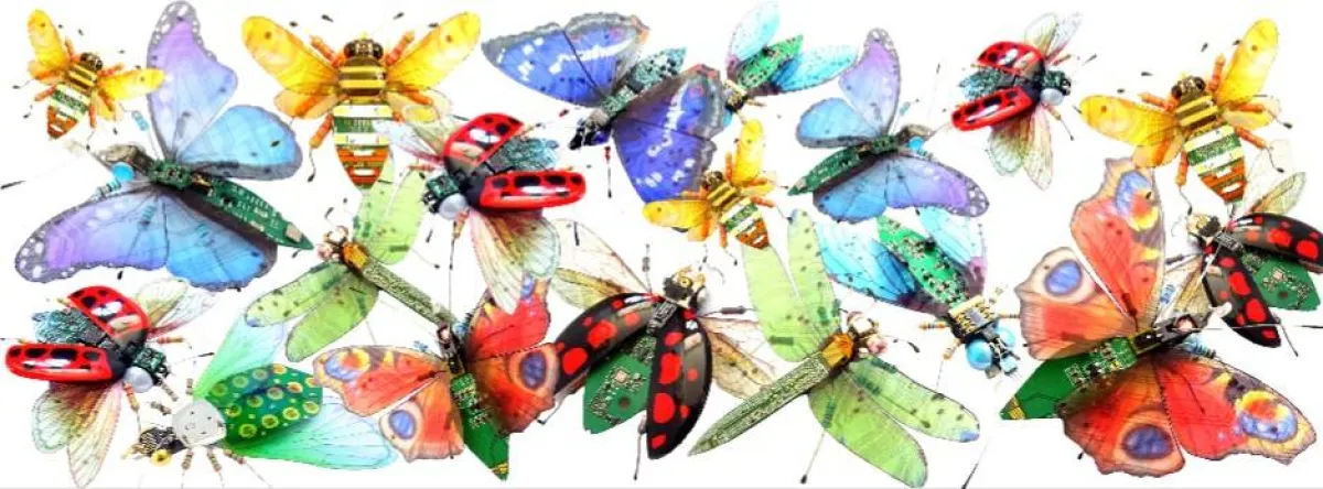 حشرات مجنحة معاد تدويرها