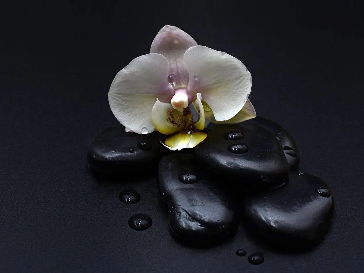 فوائد الموميان للنساء