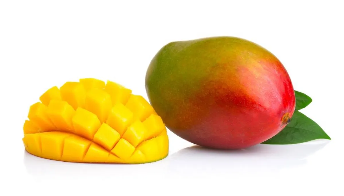 فوائد بذور المانجو للشعر