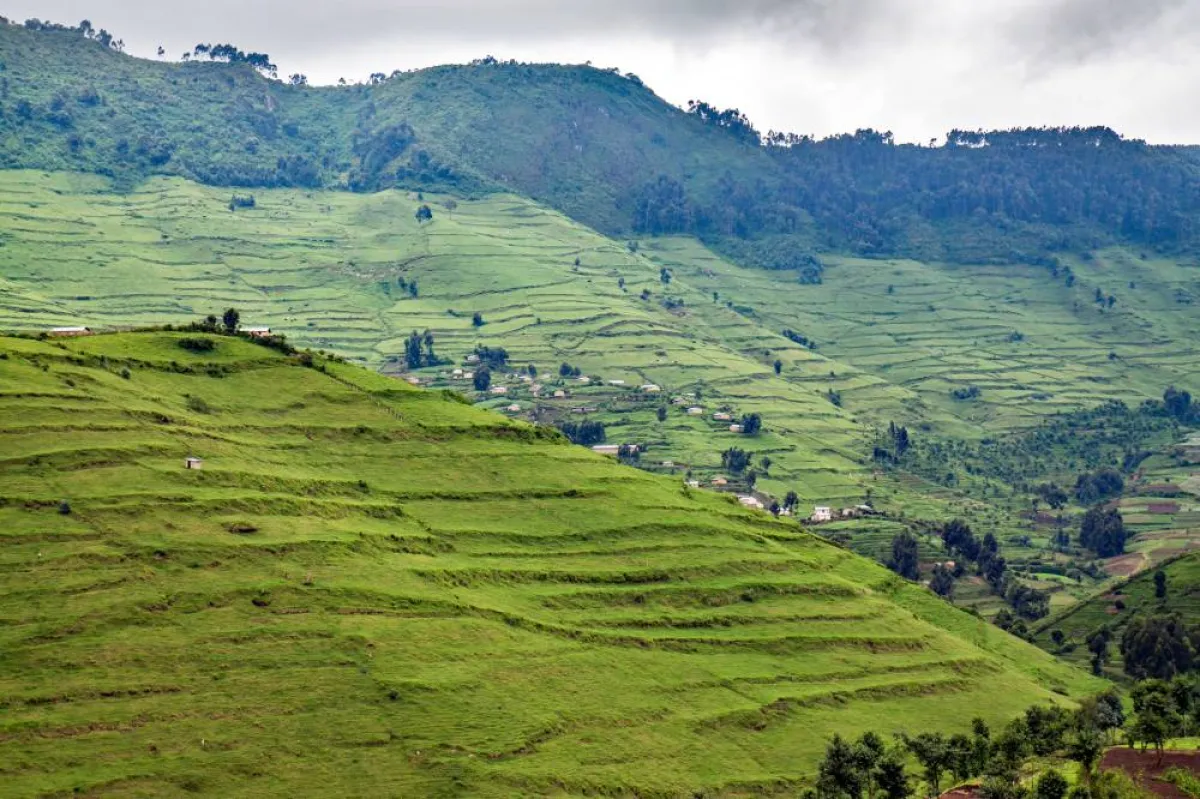 الاستمتاع بالطبيعة الساحرة في رواندا