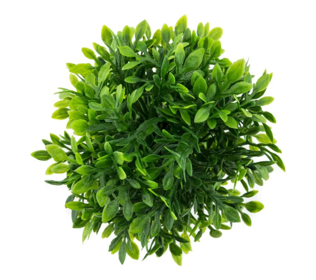 نبتة اصطناعيّة مصنوعة من البلاستيك