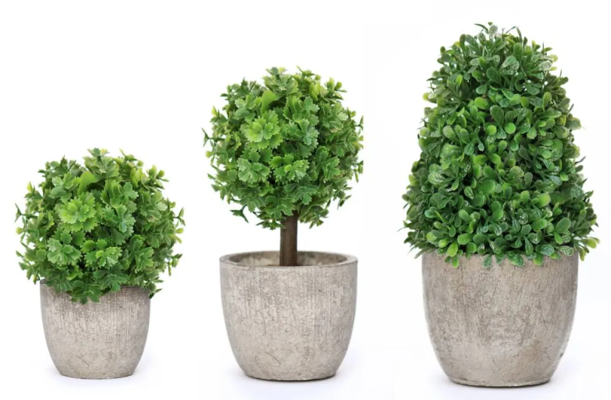 طريقة تنظيف نباتات الزينة البلاستيكيّة