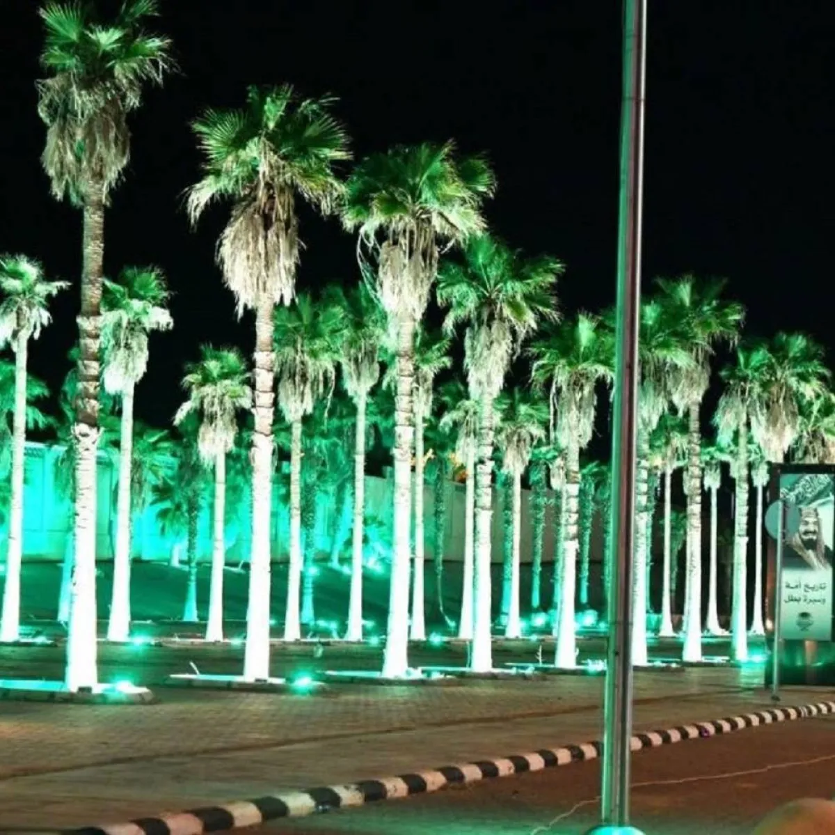 صورة للاحتفالات